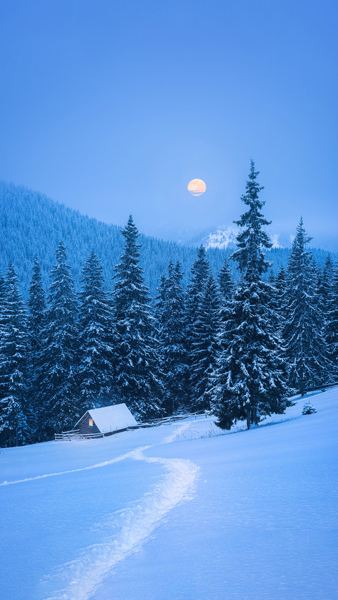 Winter Landscape  with A Wooden Cabin in The Forest preview