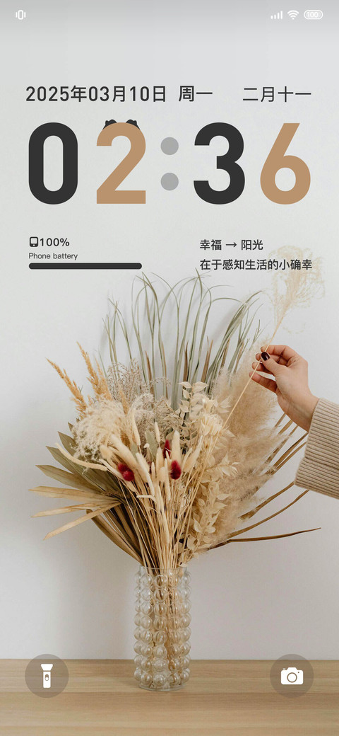 幸福花语 preview