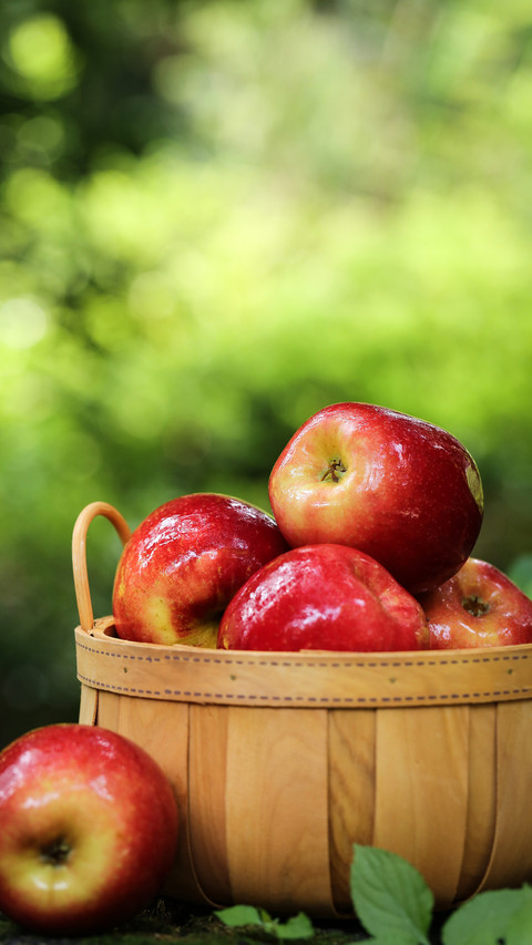 Apples are more refreshing than coffee preview