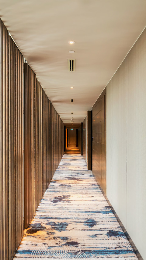 Fashionable and atmospheric corridor design 90 preview