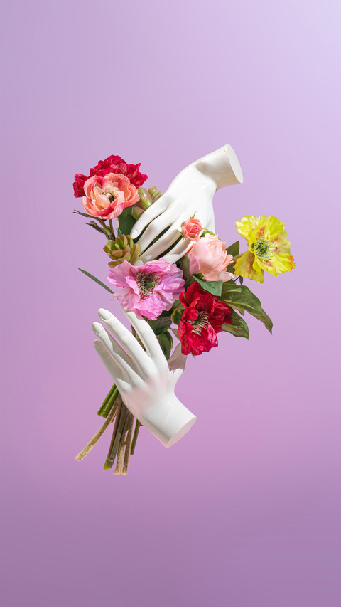 Minimalist Plants and flowers preview
