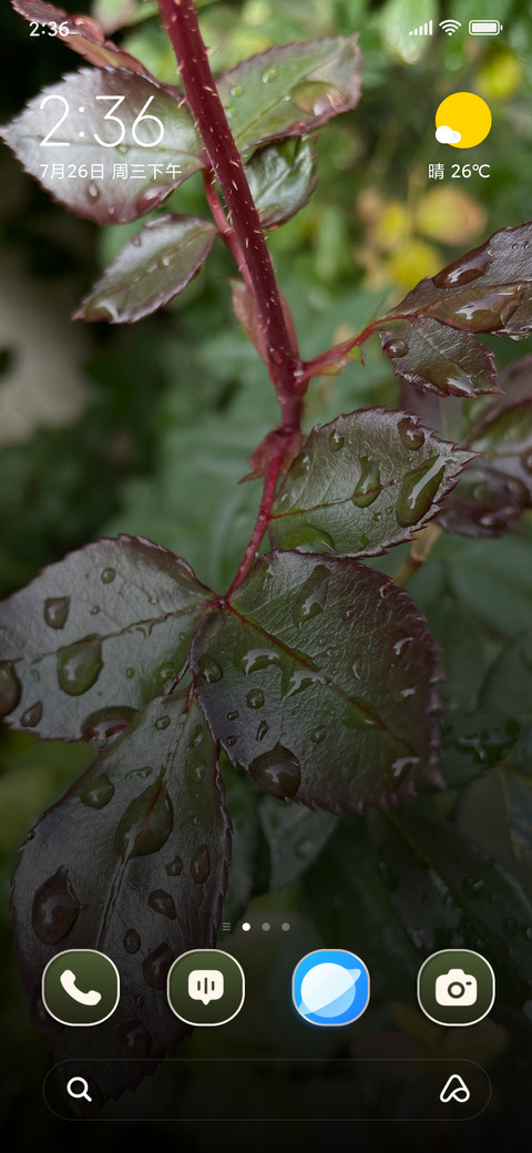 Wet Leaf preview
