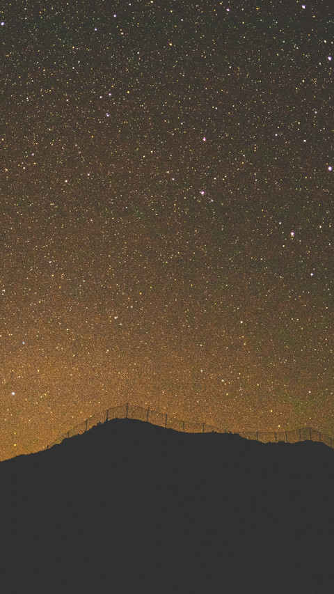 Yellow Night preview