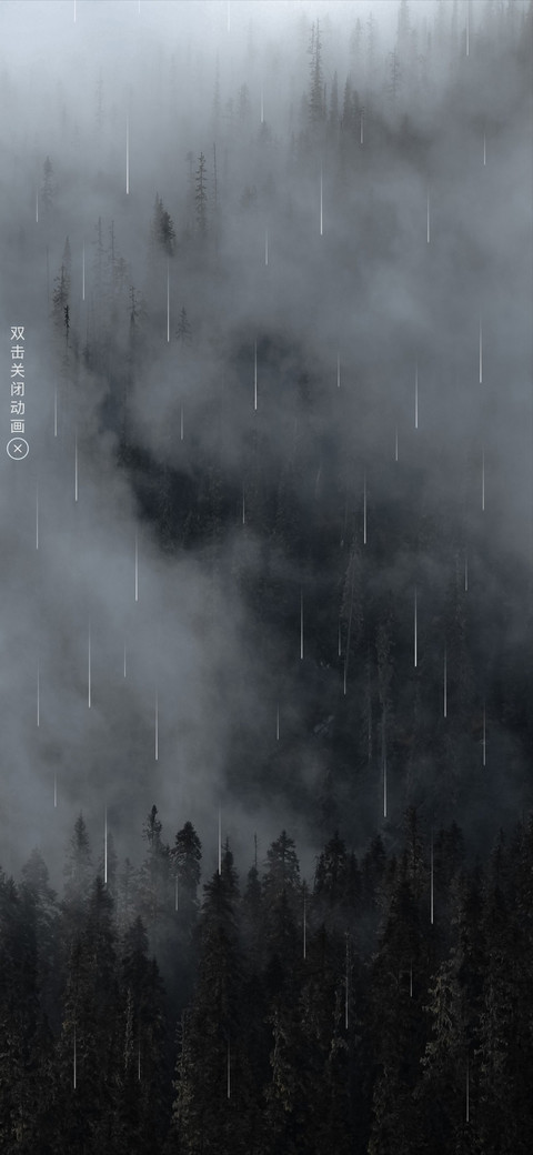 雨林 preview