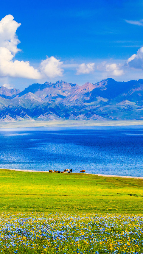 Autumn tourism in xinjiang goes beyond kanas preview
