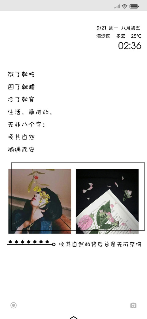 委屈之后的随遇而安 preview