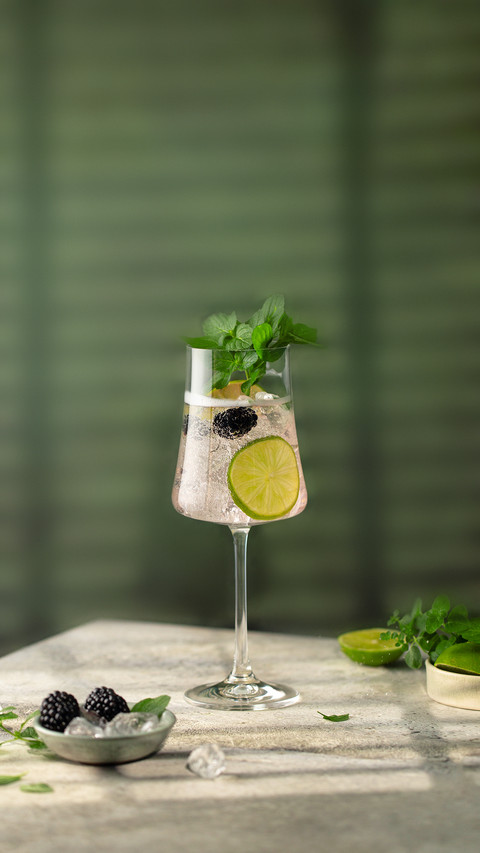 Gin And Tonic Cocktail with Fresh Mint preview