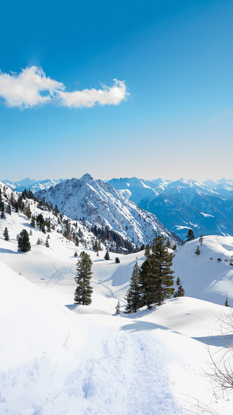 Winter snow preview