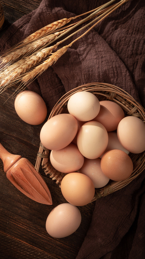 Is the white shell of an egg better or the red shell preview