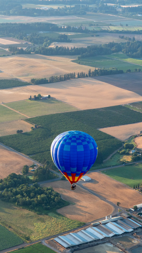 Hot air balloon and landscape high angle view preview