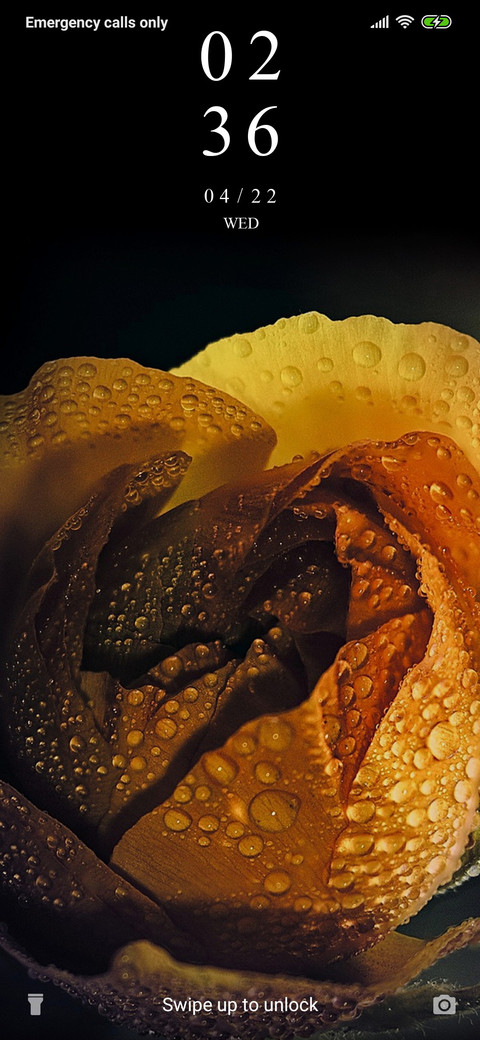 WaterDropRose_3MDP preview