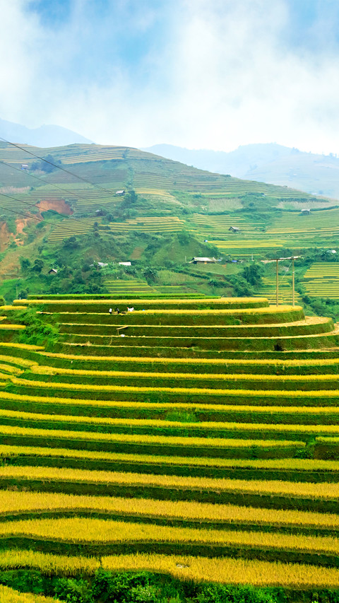 Beautiful Terraces preview