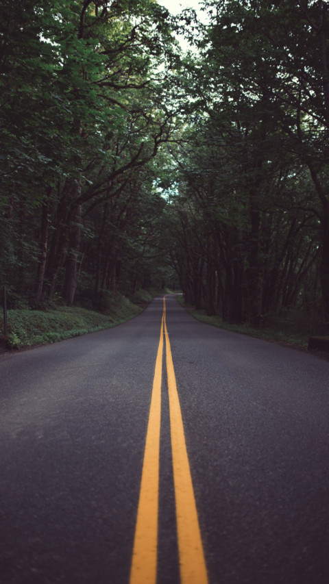 Roads (8) preview