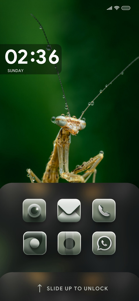 Wildlife_Mantis preview