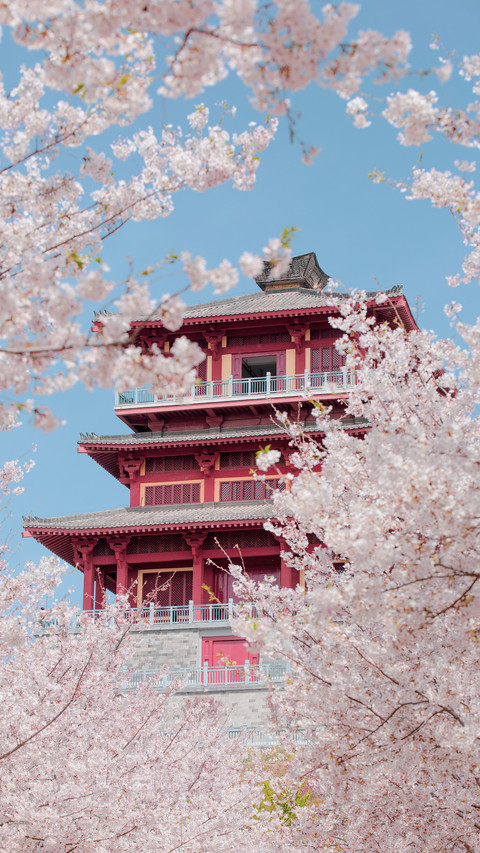 Spring Date with Zhengzhou 5 preview