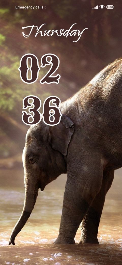 Elephant preview