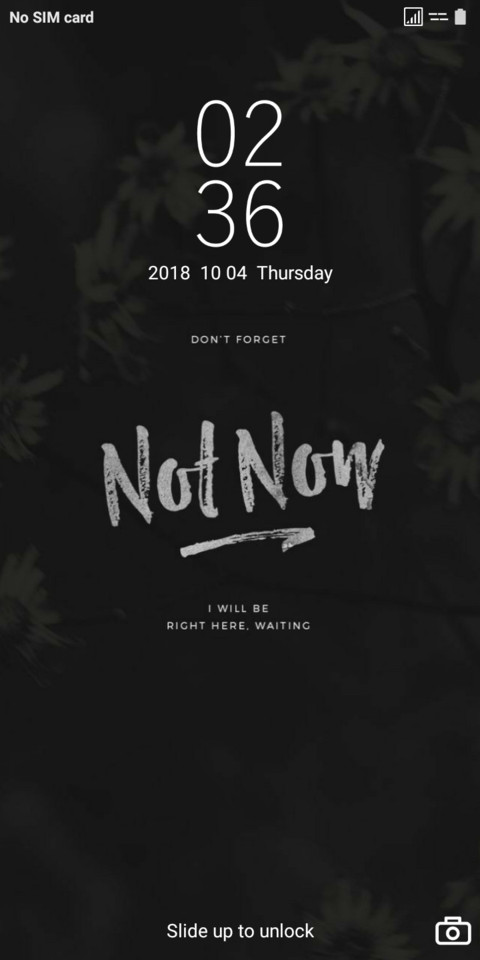 Night Flower v10 preview