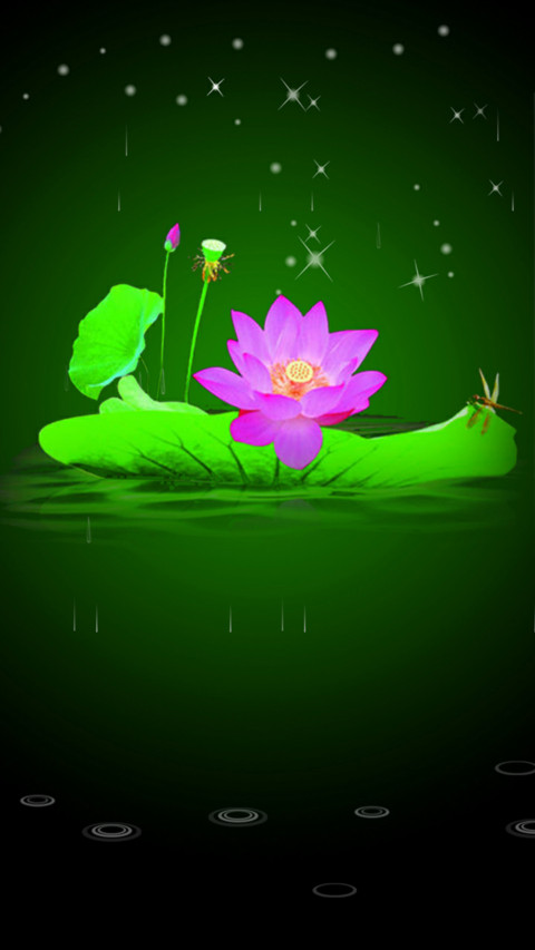 一花一世界 preview
