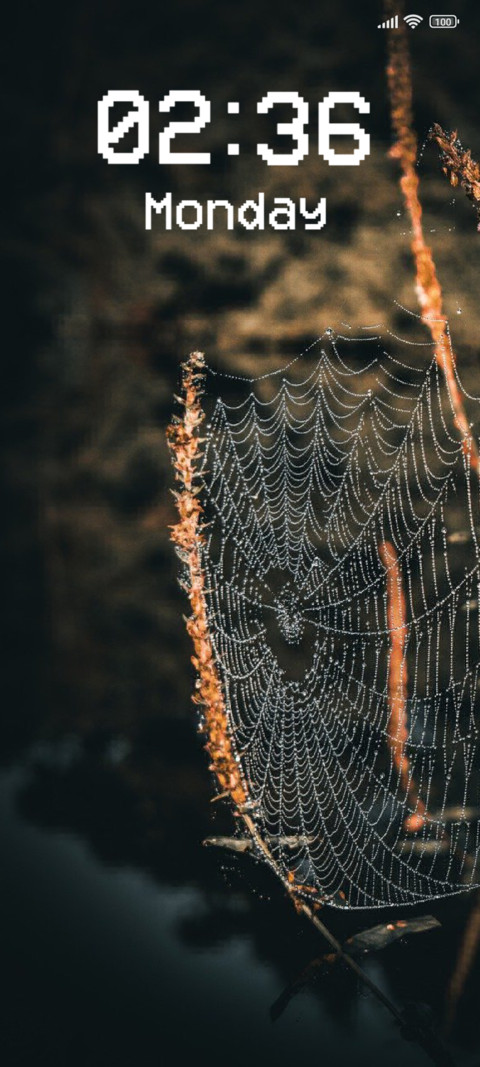 Spider Web preview