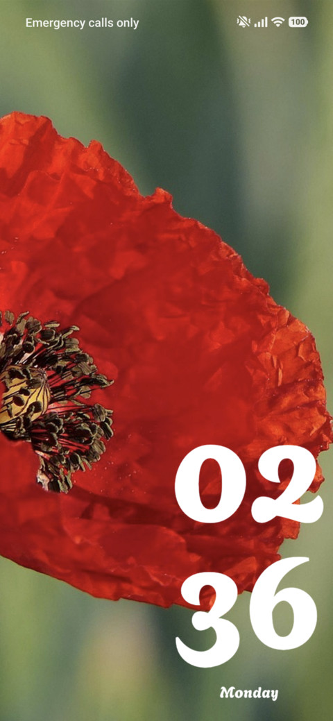 Poppy preview