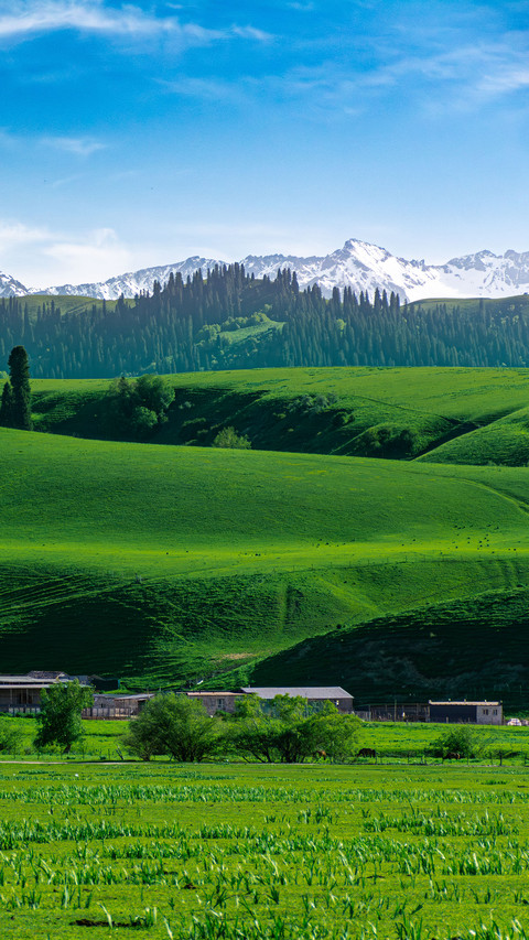 The green and blue scroll spread beneath the snowcapped preview