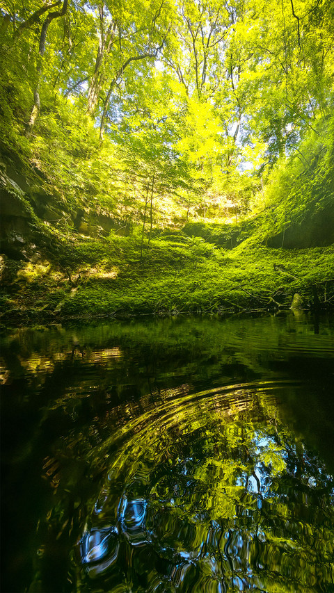 The green pool reflects the greenery preview