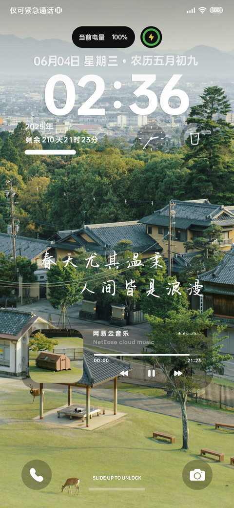 春光作序 万物和鸣 preview