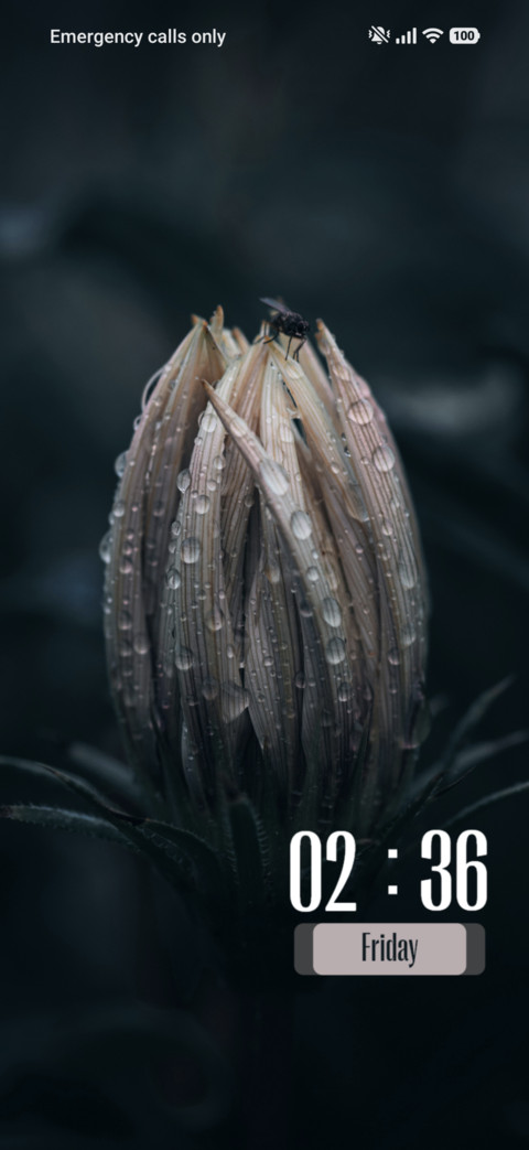 Bud preview
