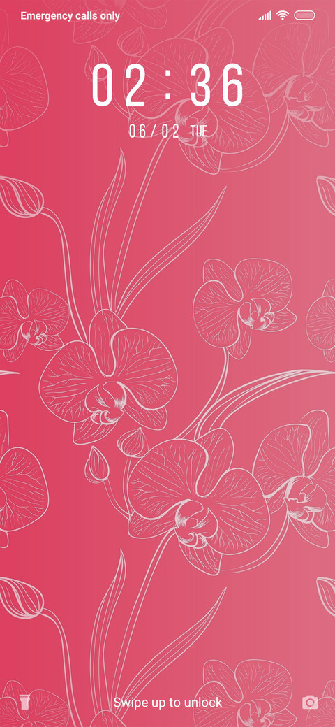 Orchids_3MDP preview