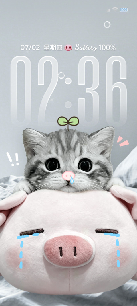 ins呆萌猫咪小猪 preview