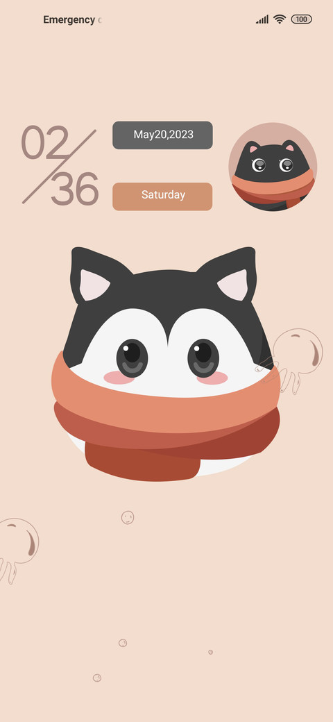 Pet ball preview