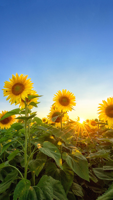 换个方向再出发 preview