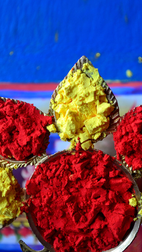 India-Holi (8) preview