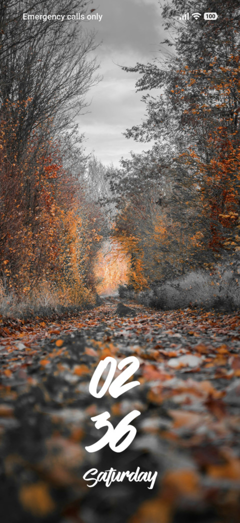 Forest preview