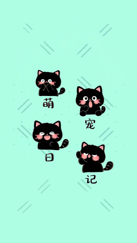 5分钟教你判断猫咪健康 preview