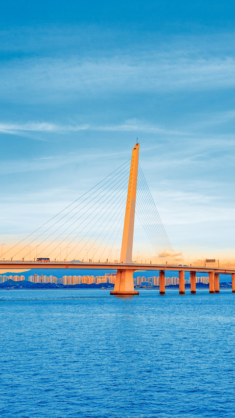 A magnificent bay crossing bridge preview