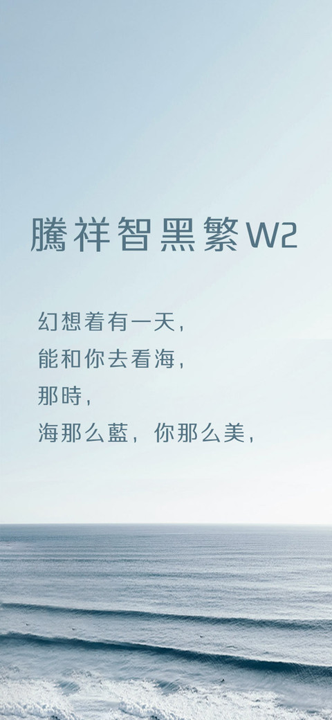 腾祥智黑繁W2 preview