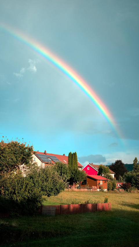Field Rainbow Olongsha Blaire preview