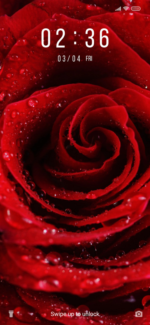 Rose_3MDS preview