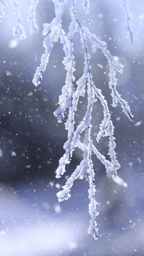 Is influenza a major cold preview
