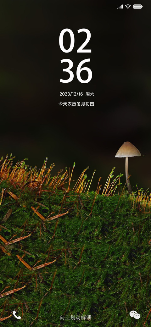 破土重生 preview