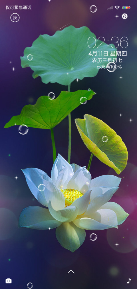 最美荷花 preview