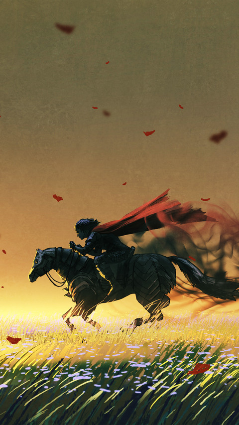 The knight on the grassland preview