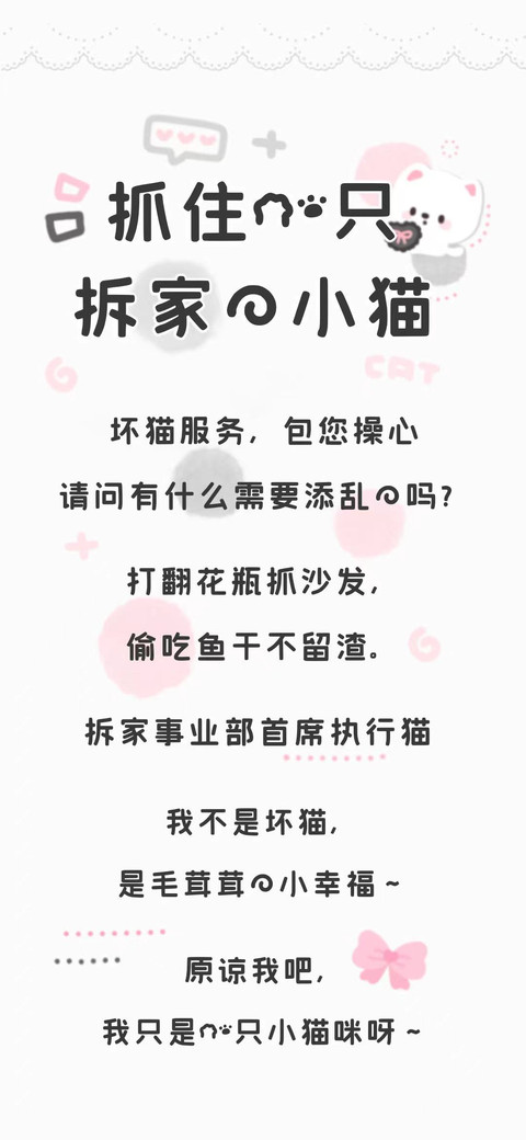 抓住一只拆家的小猫 preview