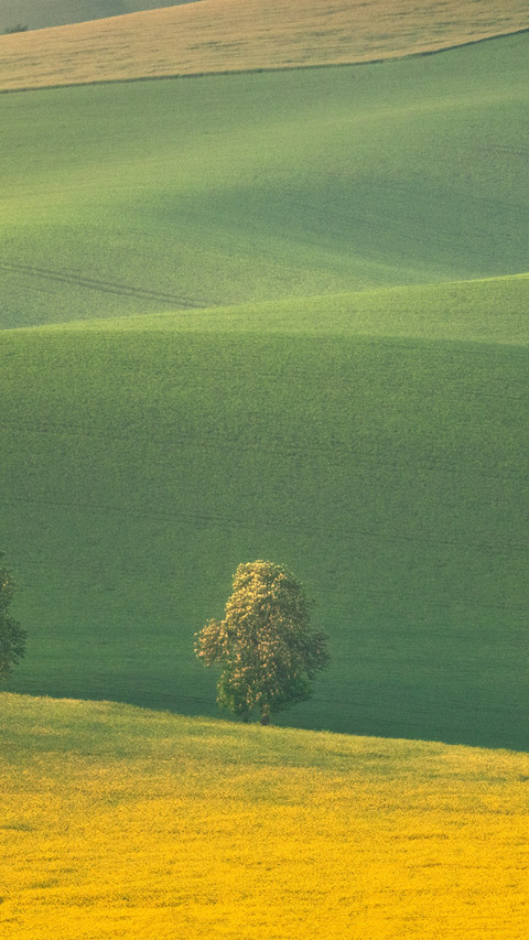 Green Fields Terraces in the Czech Republic's Moravia preview