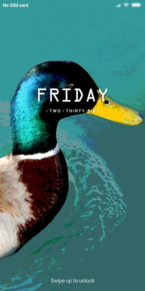 Duckk_DWM19 preview