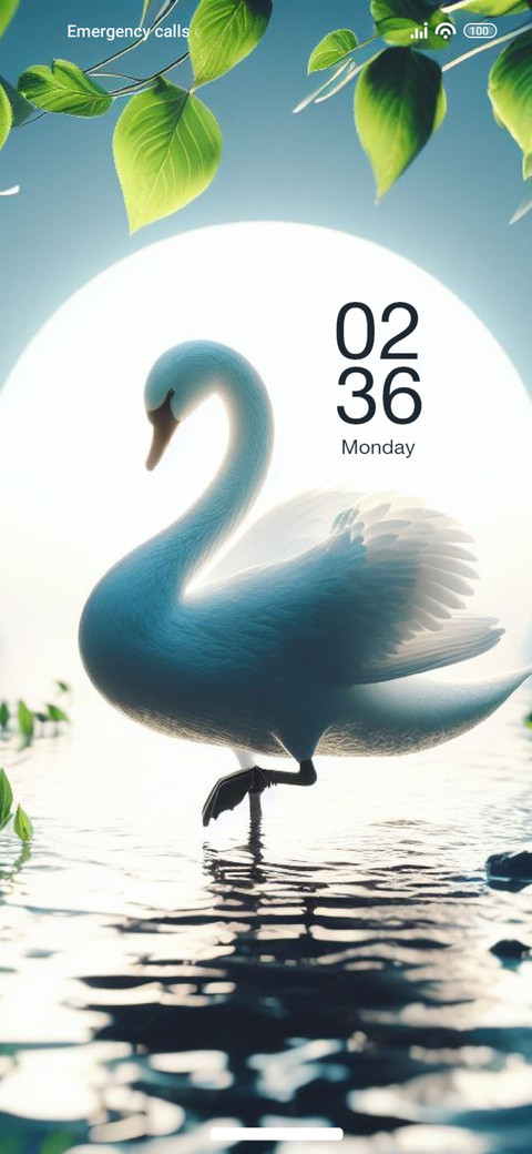 Beautiful Swan preview