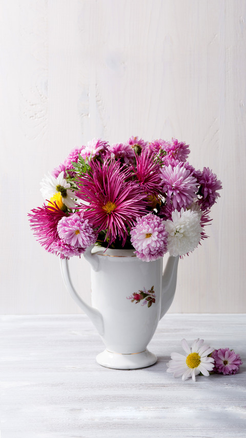 Understanding the soil before raising flowers 67 preview
