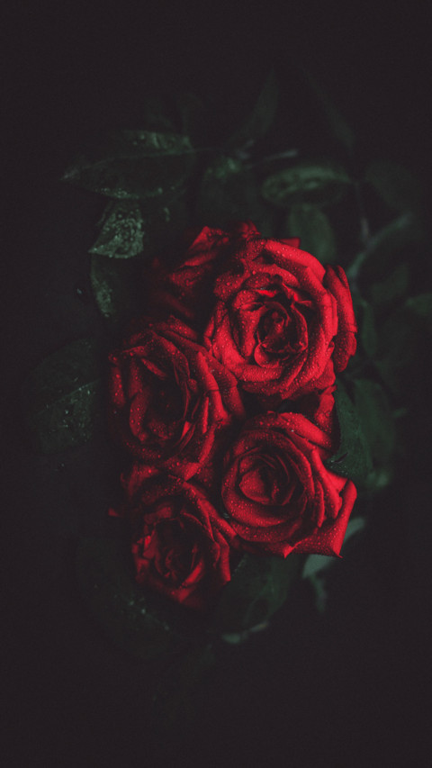 Floral (9) preview