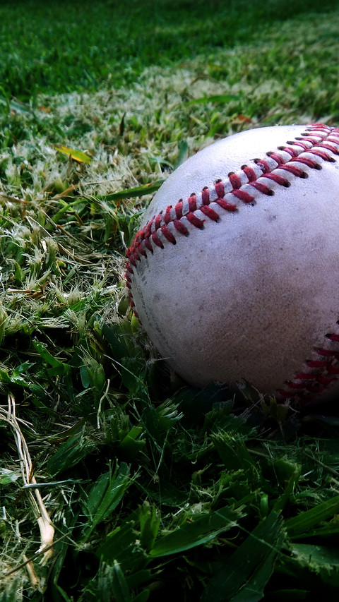 baseball (1) preview